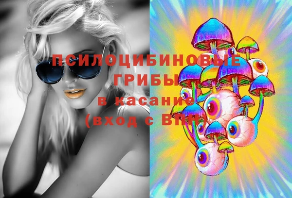 скорость Бородино